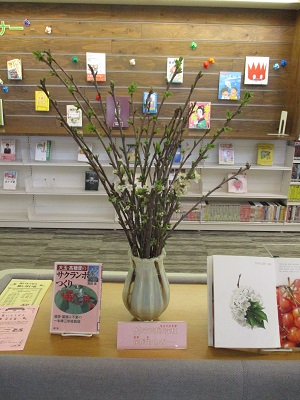 さくらんぼ剪定枝2 縮小 (002).jpg