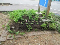 縦看板下 IMG_9605.JPG